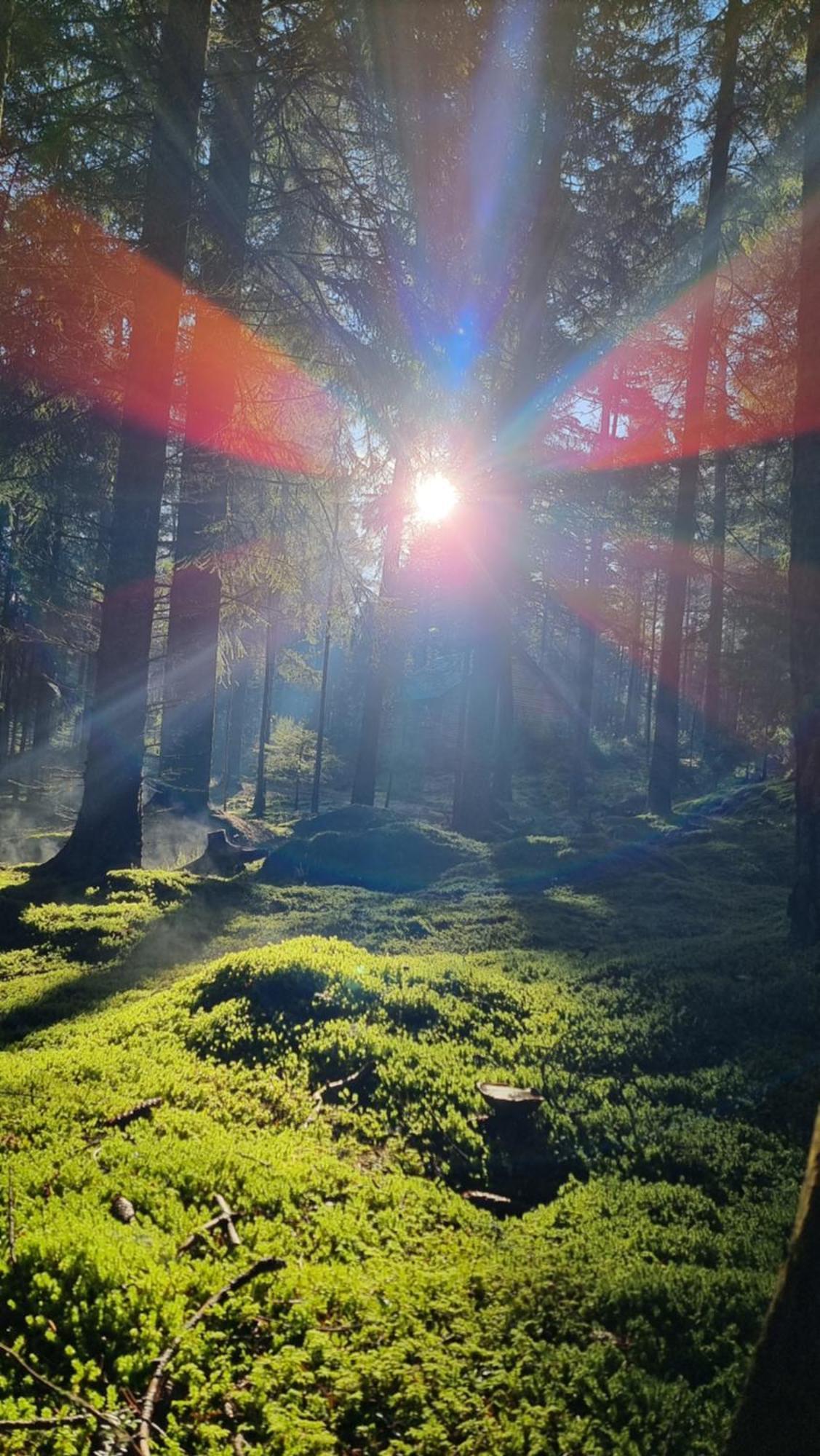 Cairngorm Lodges أبوين المظهر الخارجي الصورة