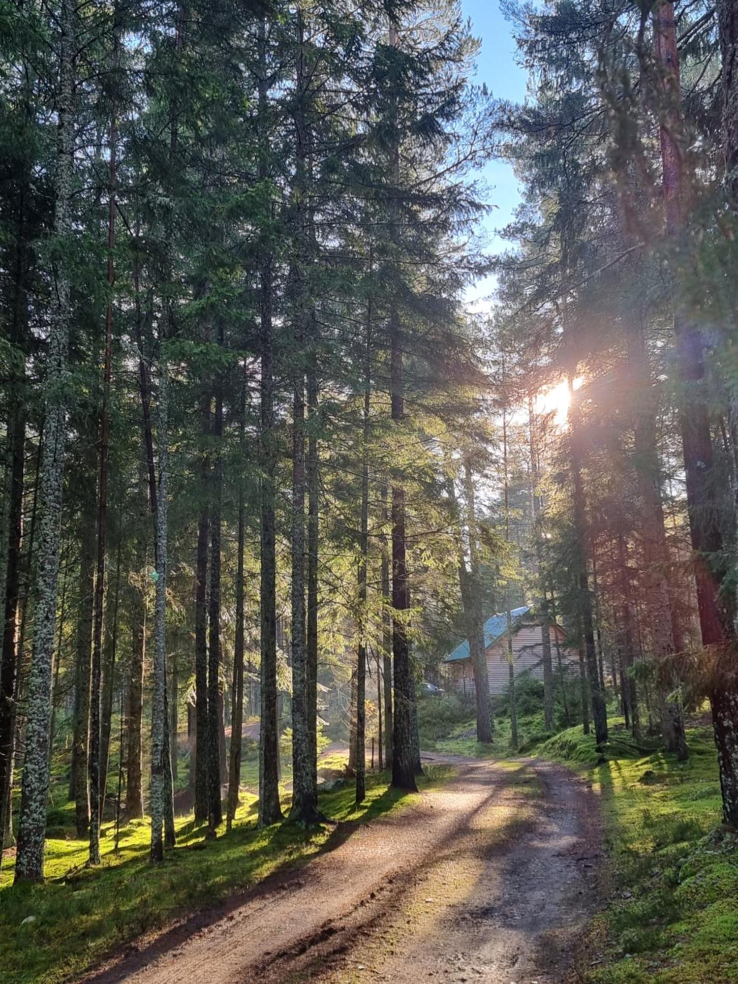 Cairngorm Lodges أبوين المظهر الخارجي الصورة